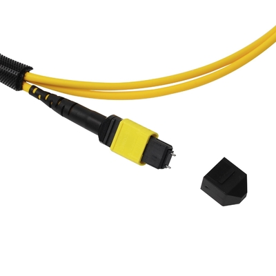 کل OFNP MPO Patch Cord 1m 3ft MTP-12 APC زنانه به MTP-12 APC زنانه حالت تک OS2