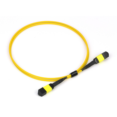 کل OFNP MPO Patch Cord 1m 3ft MTP-12 APC زنانه به MTP-12 APC زنانه حالت تک OS2