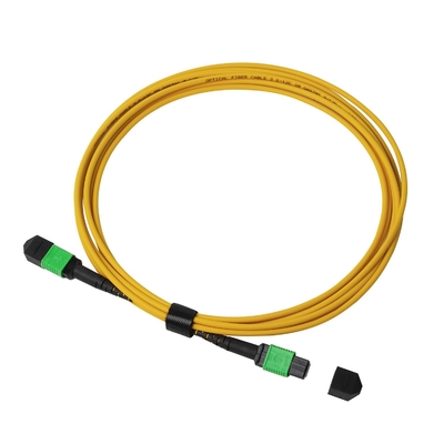 کل OFNP MPO Patch Cord 1m 3ft MTP-12 APC زنانه به MTP-12 APC زنانه حالت تک OS2