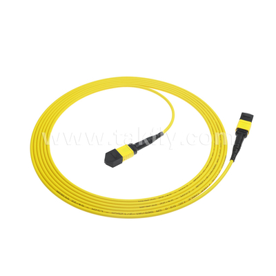 مرکز داده FTTX کابل فیبر نوری MPO Patch Cord MTP Trunk Cable زره دار SM MM Jumper