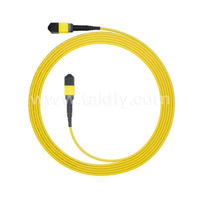 مرکز داده FTTX کابل فیبر نوری MPO Patch Cord MTP Trunk Cable زره دار SM MM Jumper