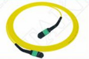 MTP-12 APC زنانه به MTP-12 APC زنانه SingleMode OS2 Plenum OFNP Type A MPO پیچ سیم