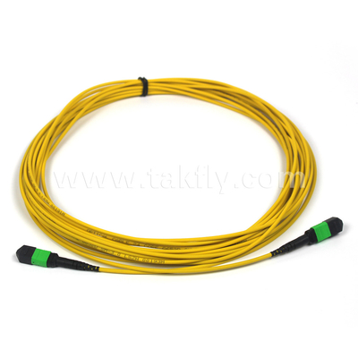MTP-12 APC زنانه به MTP-12 APC زنانه SingleMode OS2 Plenum OFNP Type A MPO پیچ سیم