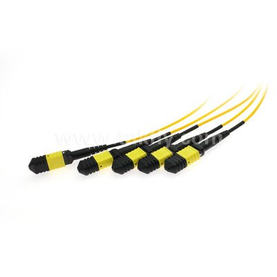 فیبر نوری MPO/MTP Fanout Cable PLC Splitter 1x4 SM/MM Fiber Optic for Data Center FTTX