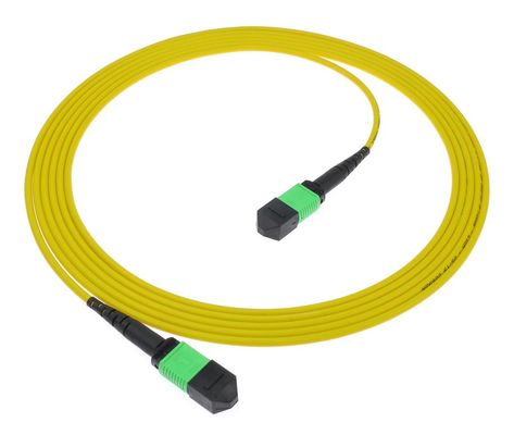 MPO/MTP Patch Cord PC و APC PVC/LSZH SM/MM