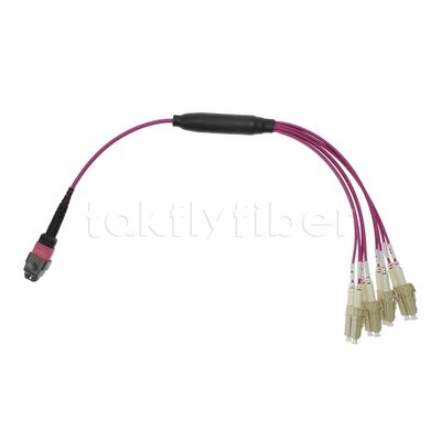 Low Loss CPR B2ca 40G 50/125 OM4 Multimode MTP MPO Breakout Fiber Patch Cable