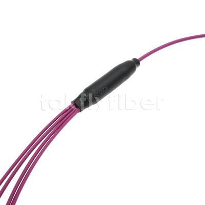 100G CPR B2ca OFNP OM4 USCONEC MTP Elite 8 Fiber MPO Fiber Optic Breakout Cable