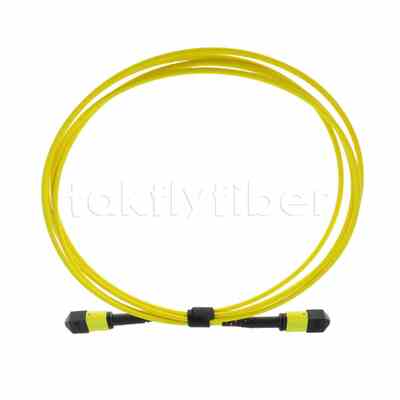 کابل اصلی 5M MTP® MPO، MTP®-12 APC (ماده) به MTP®-12 APC (ماده)، 12 فیبر، OS2 Plenum (OFNP)، حداکثر 0.35dB