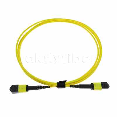 کابل اصلی 5M MTP® MPO، MTP®-12 APC (ماده) به MTP®-12 APC (ماده)، 12 فیبر، OS2 Plenum (OFNP)، حداکثر 0.35dB