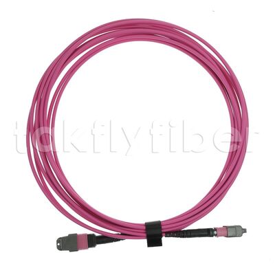 CPR B2ca Multimode OM4 MPO to MPO Fiber Trunk Cable, MTP-12 OM4 Female to Female, Type A, 5m