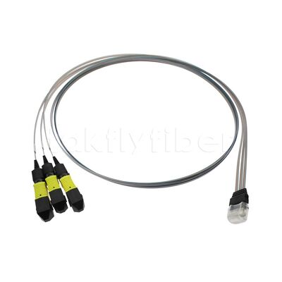 3x12F MTP - 36CH فیبر آرایه FA مجمع با نرخ انتقال بالا مصرف کم و ثبات بالا و قابلیت اطمینان