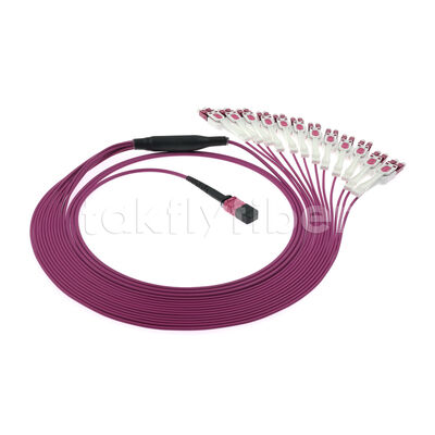 OM4 MPO به LC Uniboot 1-to-24 Breakout Patch Cord | UPC Multimode Low Loss