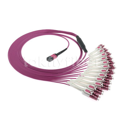 OM4 MPO به LC Uniboot 1-to-24 Breakout Patch Cord | UPC Multimode Low Loss