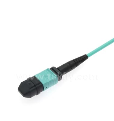 MPO/MTP-LC Breakout Patch Cord | High-Density Multi-Core Fiber Optic Cabling Solution