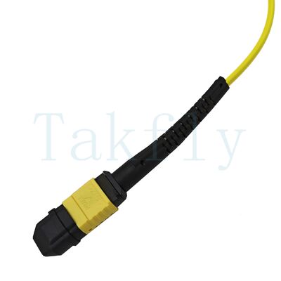 12-Core MPO APC Fanout Patch Cord مرد به زن، از دست دادن کم
