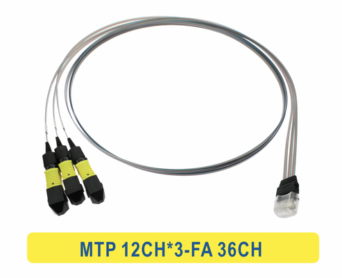 3*12F MTP به 36CH FA فیبر آرایه فیبر نوری Patchcord کابل