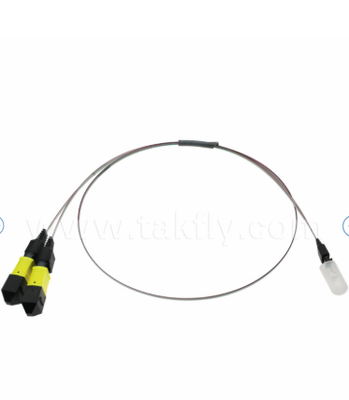 مونتاژ MTP-16CH-FA Fiber Array   MTP Connector to 16-Channel V-Groove Fiber Array, Low Insertion Loss, برای فرستنده های نوری با سرعت بالا و برنامه های کاربردی CPO / مرکز داده