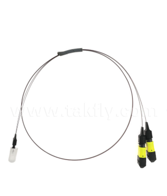 مونتاژ MTP-16CH-FA Fiber Array   MTP Connector to 16-Channel V-Groove Fiber Array, Low Insertion Loss, برای فرستنده های نوری با سرعت بالا و برنامه های کاربردی CPO / مرکز داده