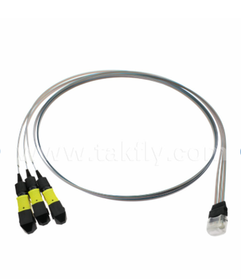 MTP 12CH × 3 تا 36 کانال فیبر آرایه مونتاژ 3 × 12CH کانکتورهای MTP به 36CH V-Groove FAU، از دست دادن ورودی کم، برای 1.6T Transceivers Optical & Co-Packed Optics (CPO)