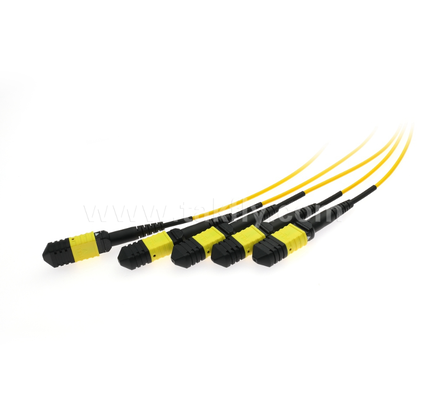 1 × 4 MPO / MTP SM PLC Splitter