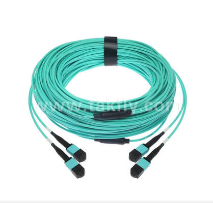 24-Core MPO / PC Mini Trunk Patch Cord OM3 Multimode، 2 × MPO Input به 2 × MPO Output، کم ضایعات ورودی، برای مراکز داده با چگالی بالا و برنامه های کاربردی 40G / 100G SR4