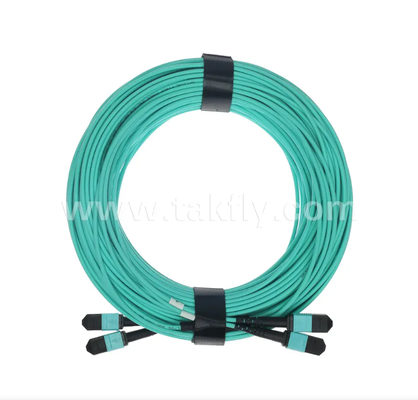 24-Core MPO / PC Mini Trunk Patch Cord OM3 Multimode، 2 × MPO Input به 2 × MPO Output، کم ضایعات ورودی، برای مراکز داده با چگالی بالا و برنامه های کاربردی 40G / 100G SR4