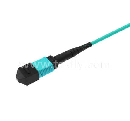 24-Core MPO / PC Mini Trunk Patch Cord OM3 Multimode، 2 × MPO Input به 2 × MPO Output، کم ضایعات ورودی، برای مراکز داده با چگالی بالا و برنامه های کاربردی 40G / 100G SR4