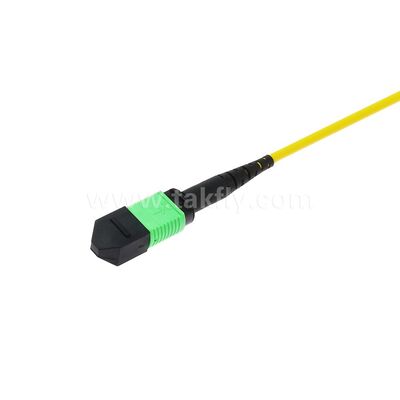 MPO MTP Patchcord SM Trunk Cable 12F فیبر نوری برای مرکز داده AI Telecom FTTX کابل کشی