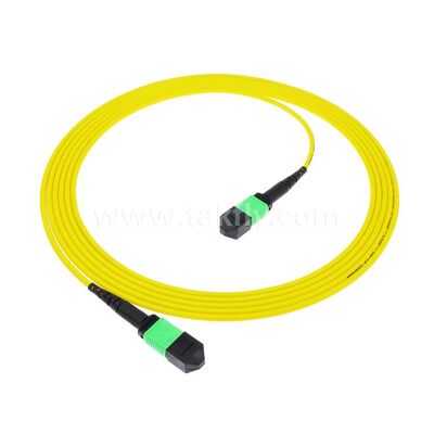 MPO MTP Patchcord SM Trunk Cable 12F فیبر نوری برای مرکز داده AI Telecom FTTX کابل کشی