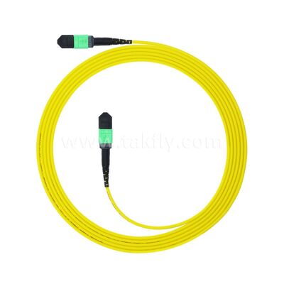 MPO MTP Patchcord SM Trunk Cable 12F فیبر نوری برای مرکز داده AI Telecom FTTX کابل کشی
