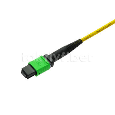 MPO MTP Patchcord SM Trunk Cable 12F فیبر نوری برای مرکز داده AI Telecom FTTX کابل کشی