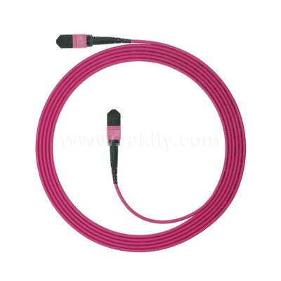 MPO MTP Patchcord Multimode OM4 Trunk Cable 12F فیبر نوری برای مرکز داده های کابل های مخابراتی هوش مصنوعی