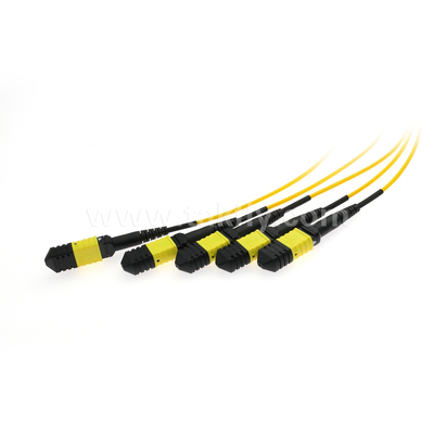 MPO/MTP Fanout Cable PLC Splitter 1x4 Singlemode Fiber Optic for Data Center FTTX