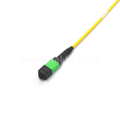 آمفینول سفارشی شده 288 فیبر 0.35dB حداکثر از دست دادن ورودی تک حالت OS2 MPO کابل اصلی برای مرکز داده