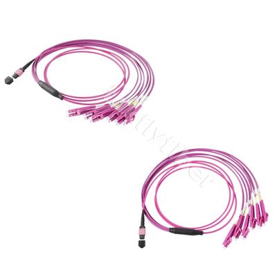 12/24 هسته MPO to LC Patch Cable MPO Breakout Cable، OM4، Violet، 3.0mm