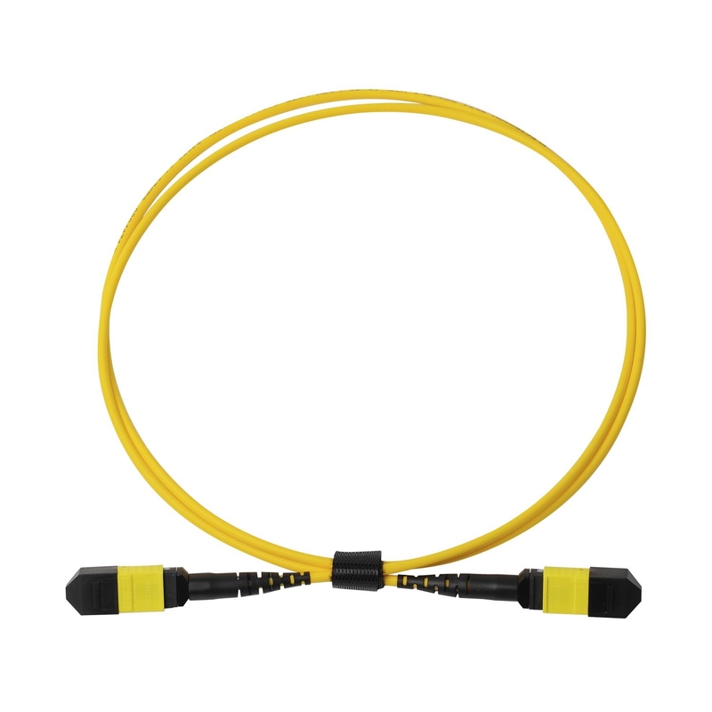 کل OFNP MPO Patch Cord 1m 3ft MTP-12 APC زنانه به MTP-12 APC زنانه حالت تک OS2