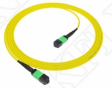 2m 7ft MTP Patch Cord Plenum OFNP MPO Patch Cord Cable 3.0mm MTP 12F APC زن نخبگان