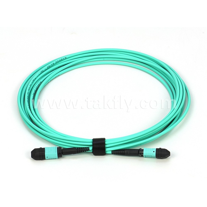 الیت مولتی مد OM3 50/125 پلینوم OFNP نوع B MPO پیچ Cord 30m 100ft MTP-12 PC زنانه به MTP-12 PC زنانه
