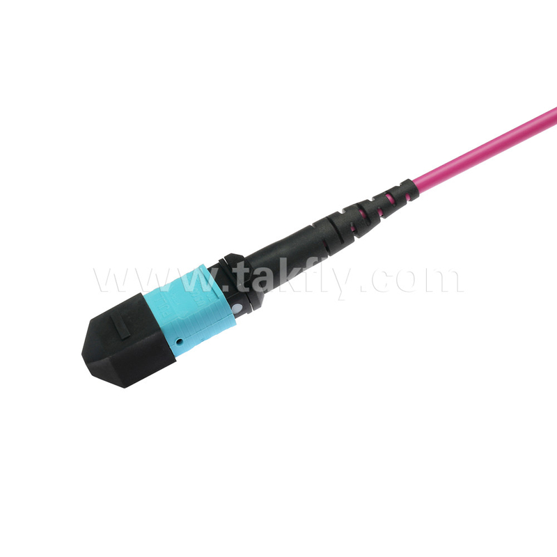 الیت مولتی مود OM4 50/125 ، پلینوم OFNP نوع B MPO سیم پیچ 3m 10ft MTP-12 PC زنانه به MTP-12 PC زنانه