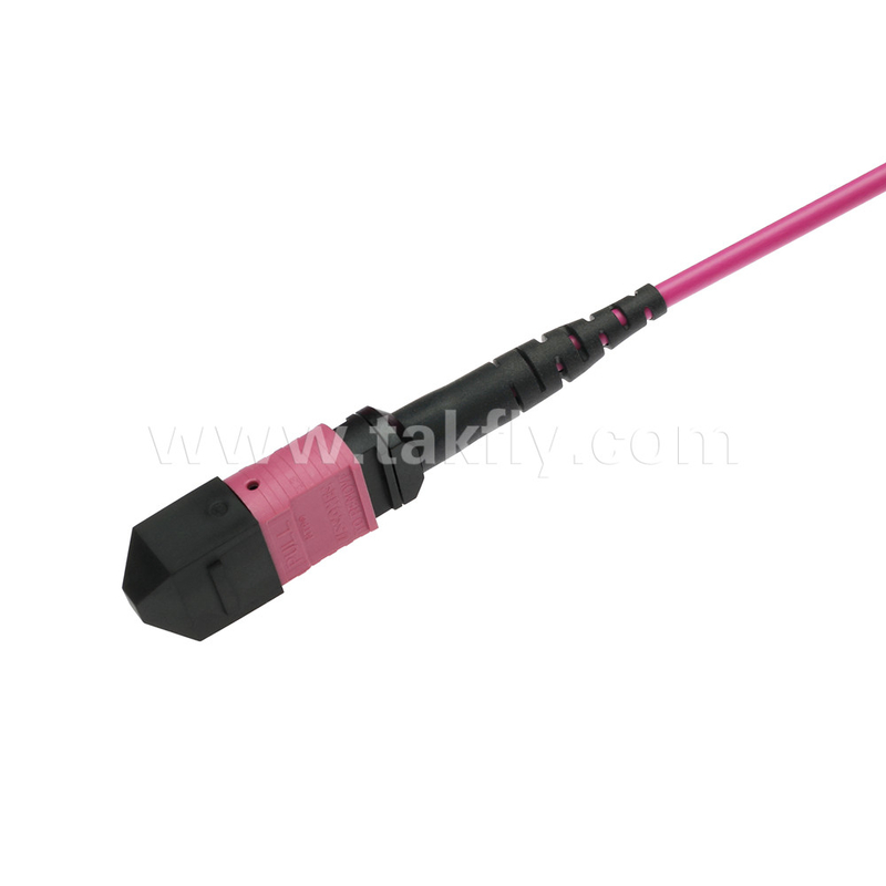 Elite Multimode OM4 50/125 ، Plenum OFNP Type B MPO Patch Cord 5m 16ft MTP-12 PC زنانه به MTP-12 PC زنانه