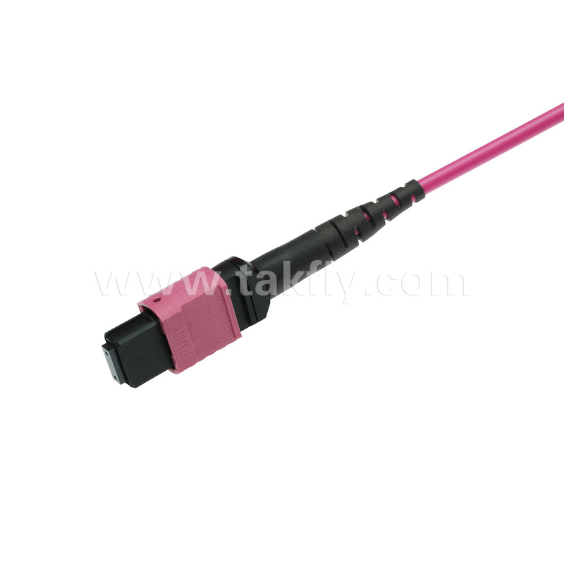 الیت مولتی مود OM4 50/125 پلینوم OFNP نوع B MPO پیچ Cord 3.0mm کابل 10m 33ft MTP-12 PC زنانه به MTP-12 PC زنانه