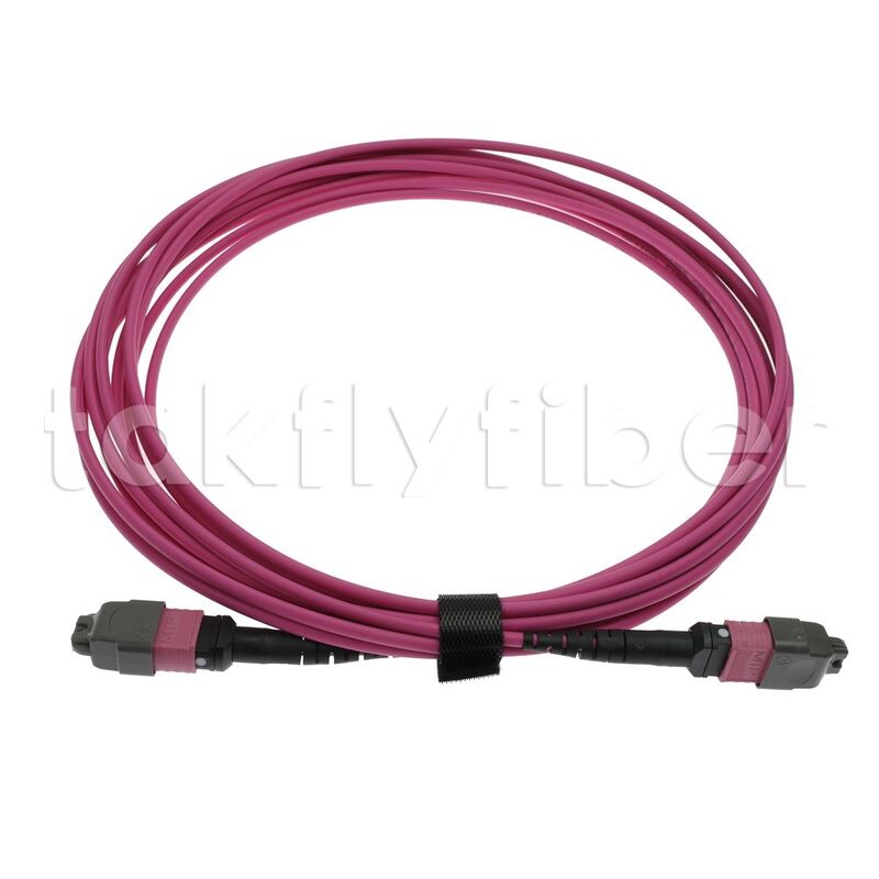CPR B2ca Multimode OM4 MPO to MPO Fiber Trunk Cable, MTP-12 OM4 Female to Female, Type A, 5m