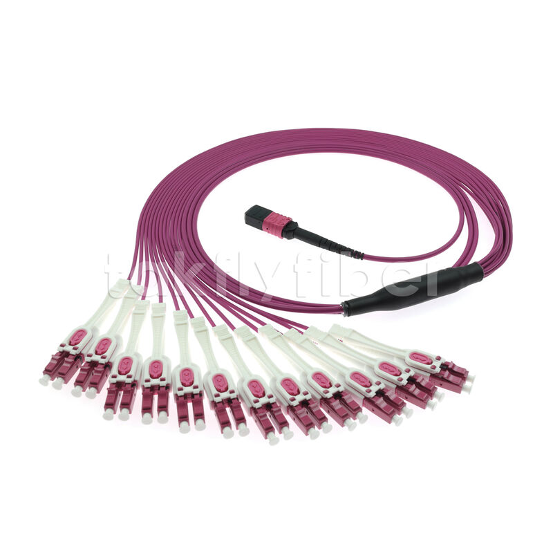 OM4 MPO به LC Uniboot 1-to-24 Breakout Patch Cord | UPC Multimode Low Loss