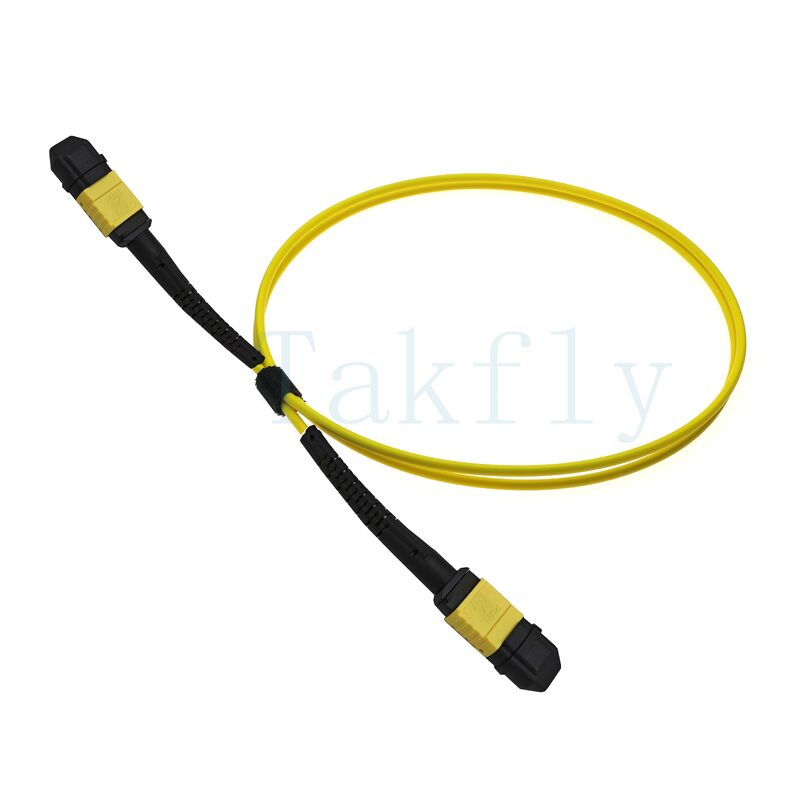 12-Core MPO APC Fanout Patch Cord مرد به زن، از دست دادن کم